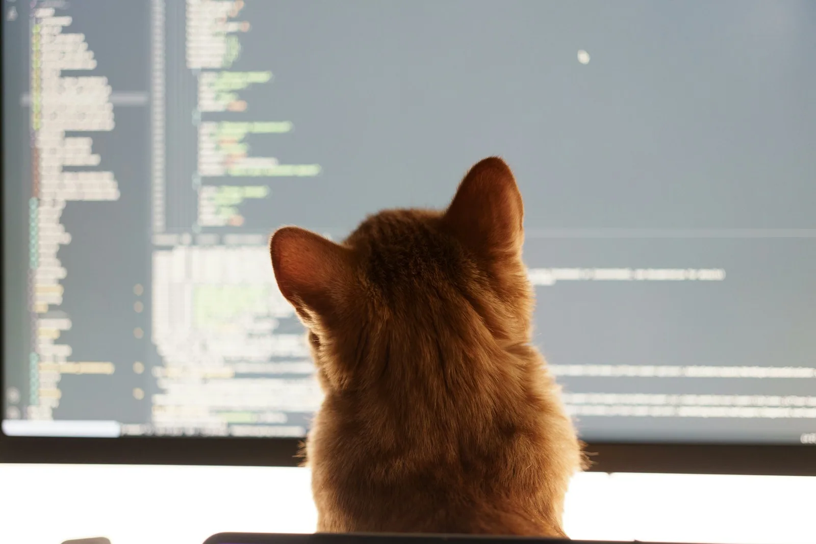 Vibe Coding: Qué Es, Riesgos y Seguridad en 2026